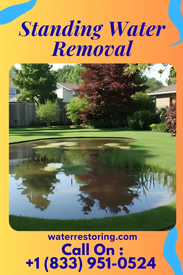 Standing Water Removal in Old Monroe, MO